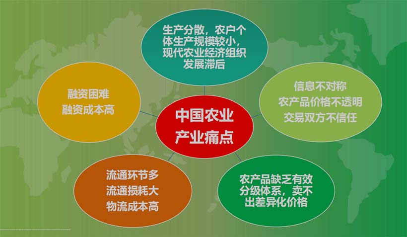 產業(yè)分析：中國農業(yè)的5個關鍵問題