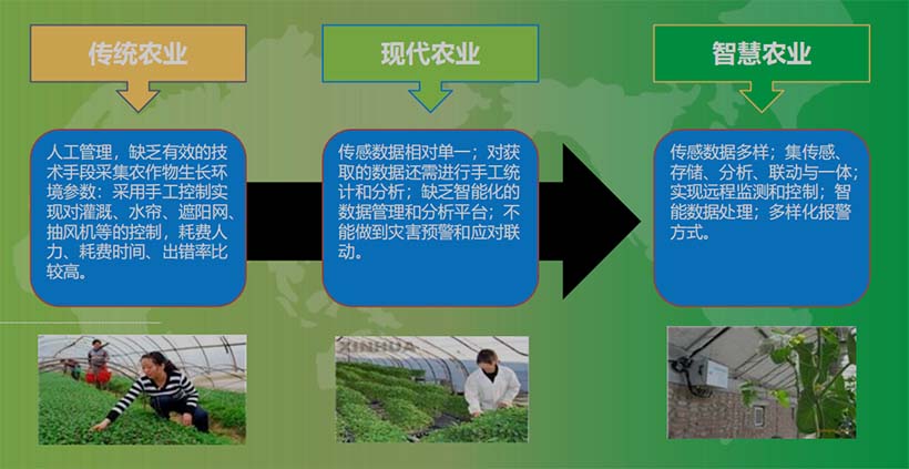 農業(yè)發(fā)展形態(tài)